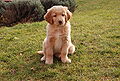 7 weeks