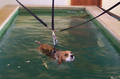 Hydrotherapy