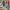 Imagenet True Data