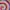 Openai Baselines Ppo
