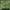 OpenAI Planning Ahead poster depicting a Dota video game landscape